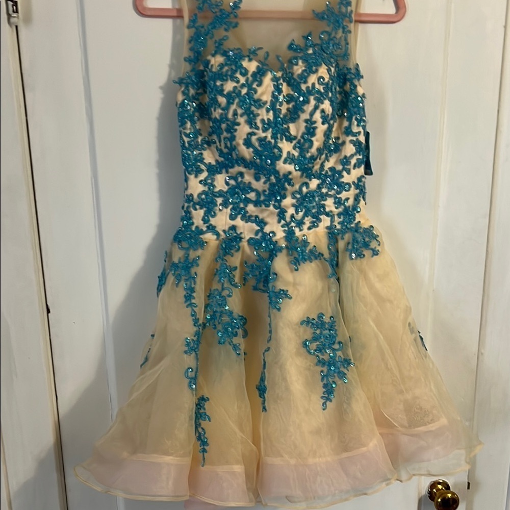 Elegant Dress